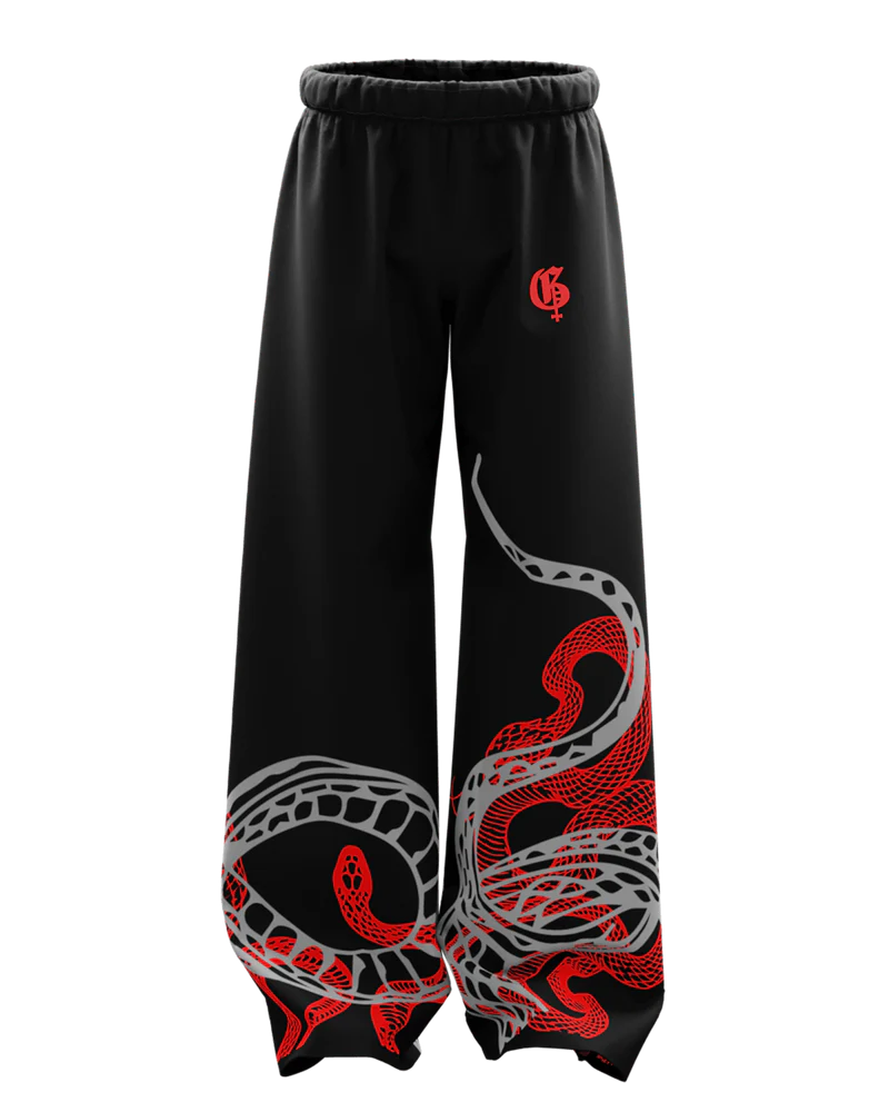 Dracon Unisex Straight Fit Baggy Pants